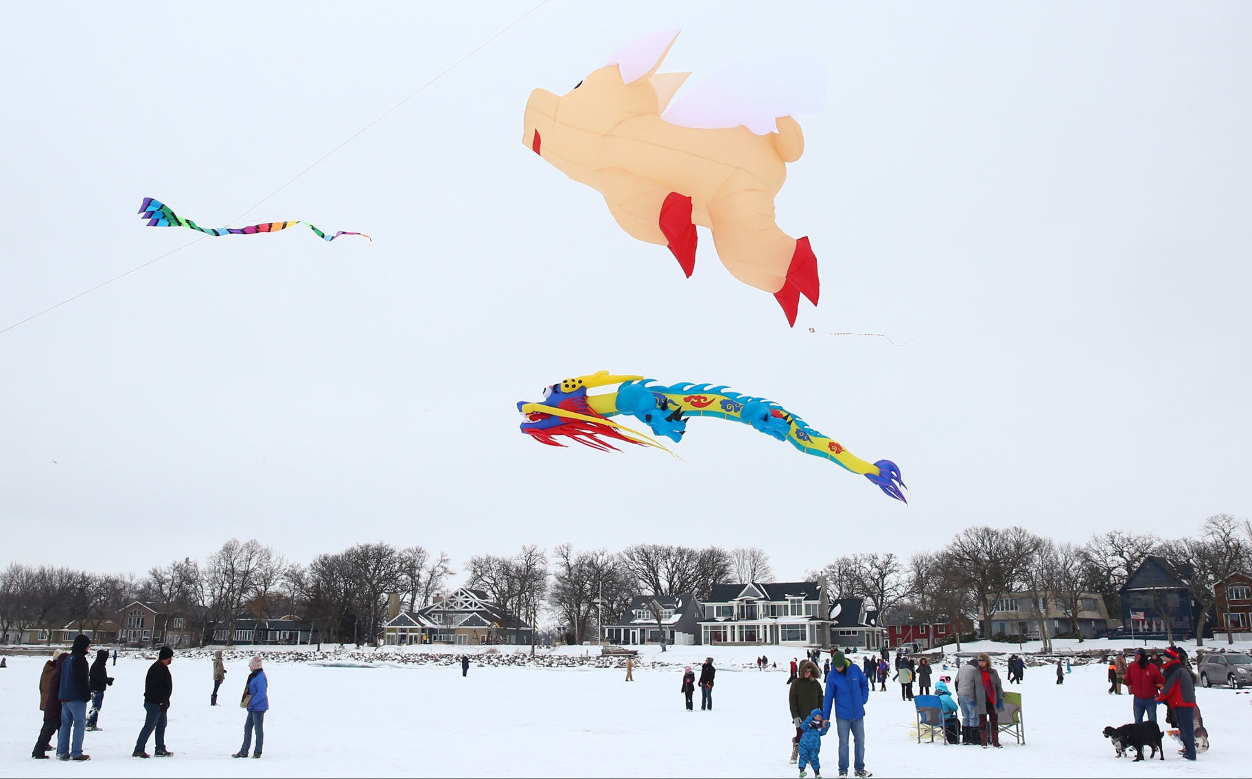 Color the Wind 13